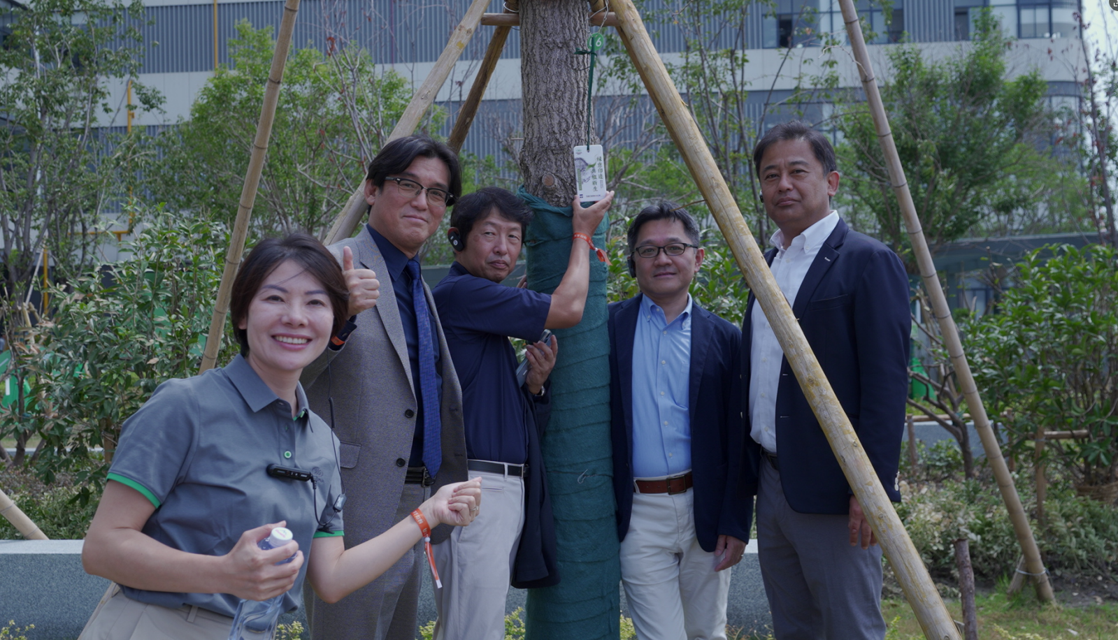 1756783062757083VIV8.png image.png